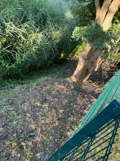 Zugewachsener Grabenrand — Nachher